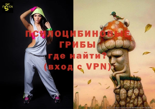 спайс Алексин
