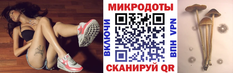 Псилоцибиновые грибы Psilocybine cubensis  купить   Нижняя Салда 